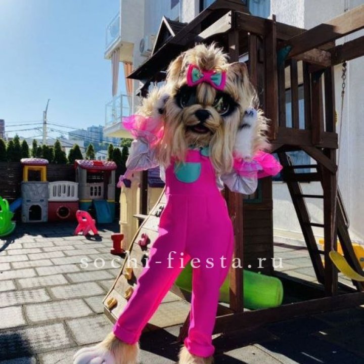 Аниматор Гламурная Собака в Энгельсе