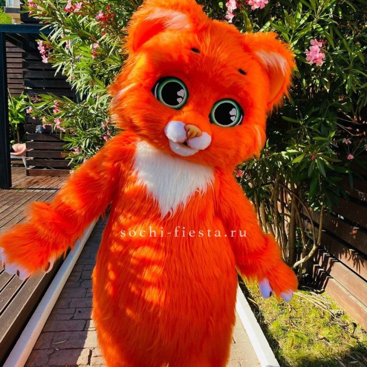 Аниматор Котик в Энгельсе