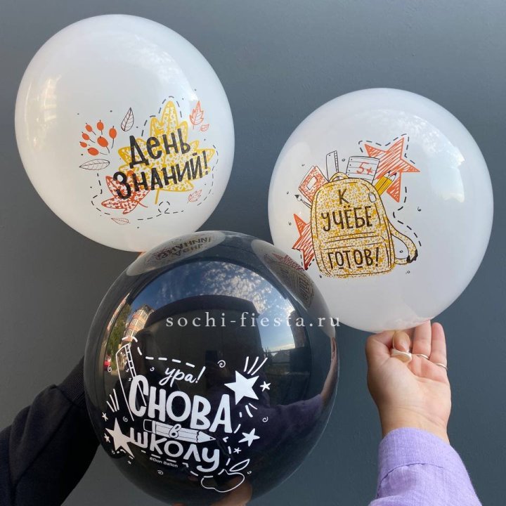Воздушный шар к 1 сентября в Энгельсе