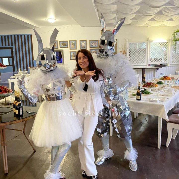 Аниматор Зеркальный заяц в Энгельсе