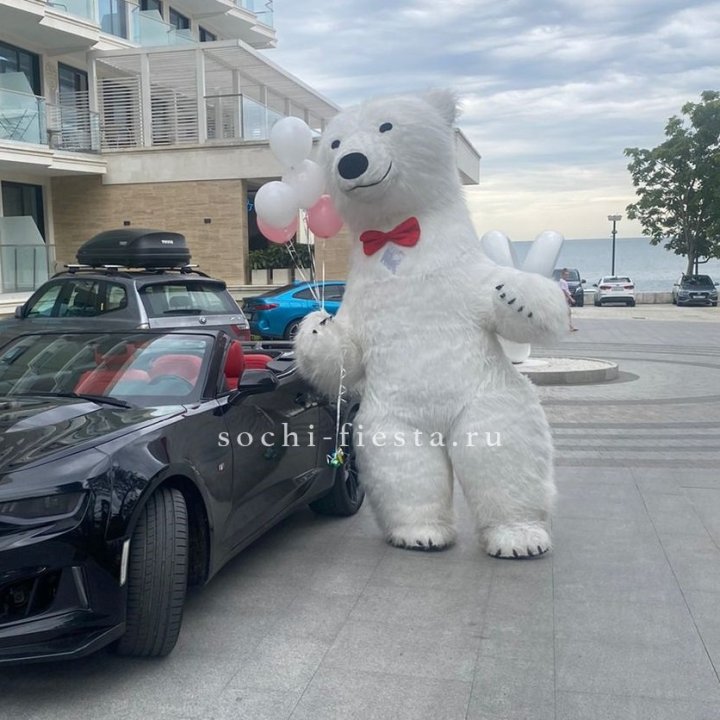 Аниматор Белый Медведь в Энгельсе