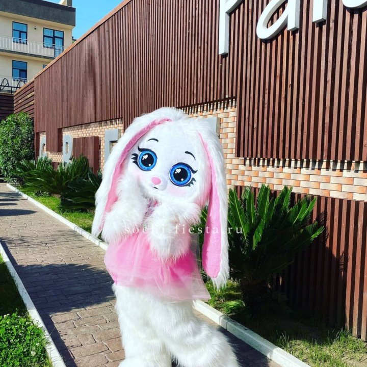 Аниматор Зайка в Энгельсе