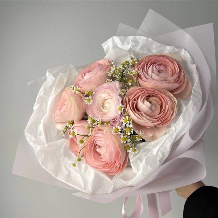 Ранункулюсы с ромашками в Энгельсе