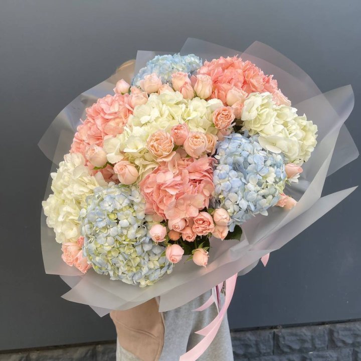 Дуо гортензии и бомбастик в Энгельсе