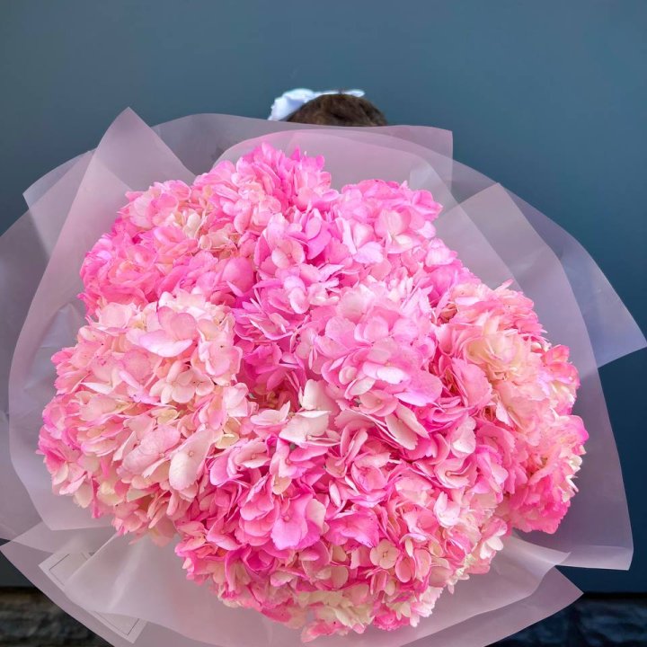 9 ярко розовых гортензий в Энгельсе