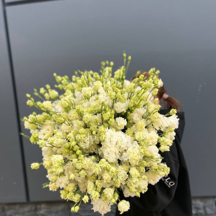 51 белая эустома в Энгельсе