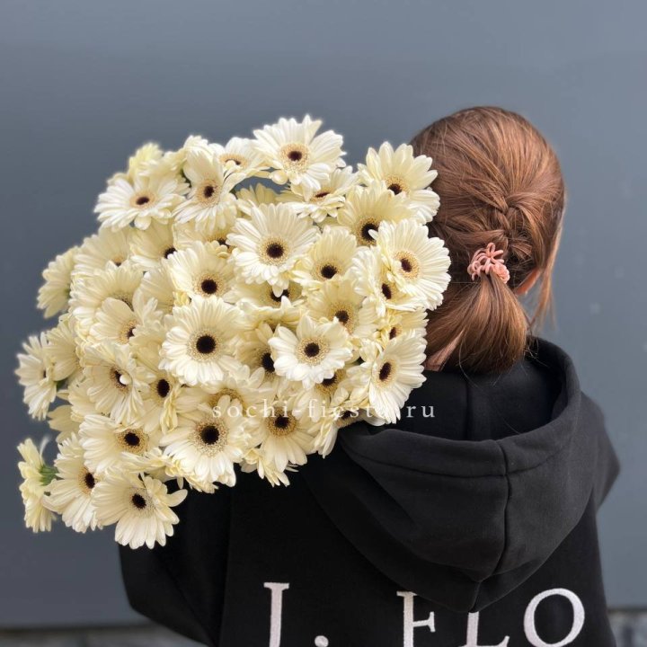 51 гербера в Энгельсе