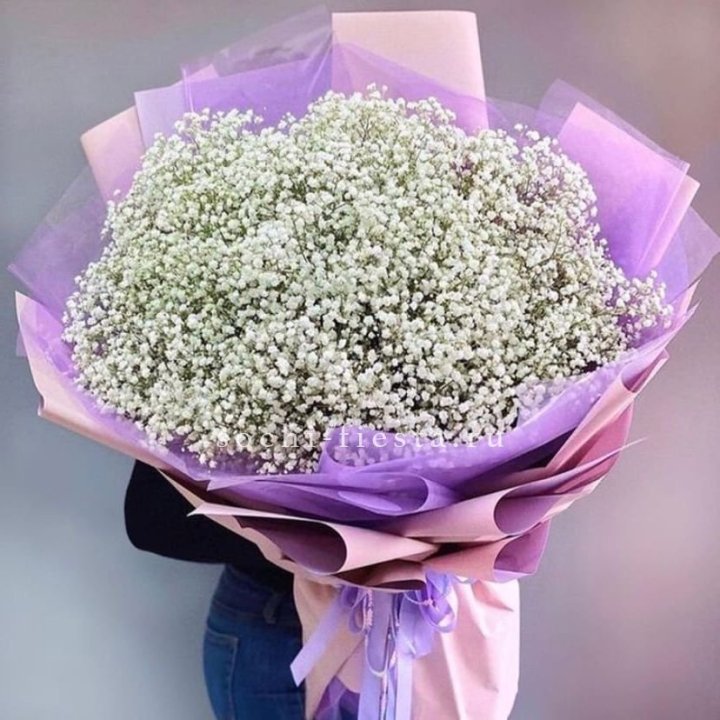 Облако белых гипсофил в Энгельсе