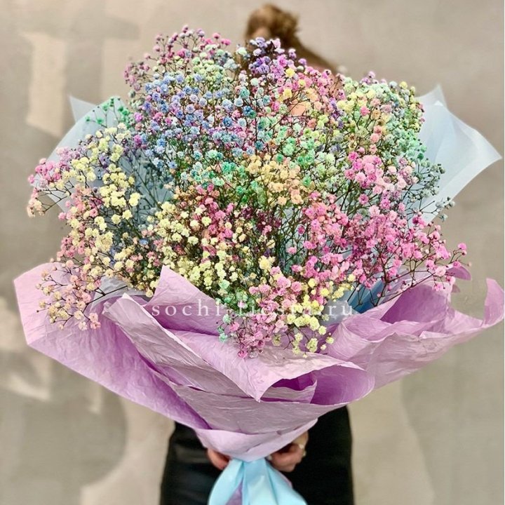 Радужные гипсофилы №2 в Энгельсе