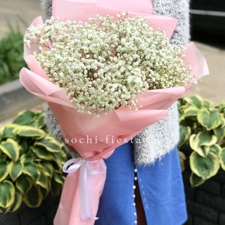 Белоснежные гипсофилы в Энгельсе