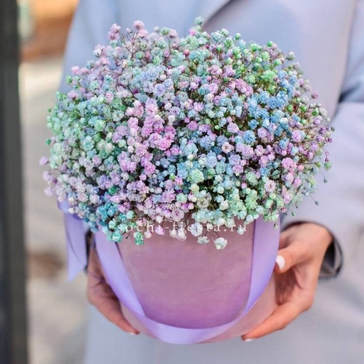 Гипсофилы в шляпной коробке "Кандилайт" в Энгельсе