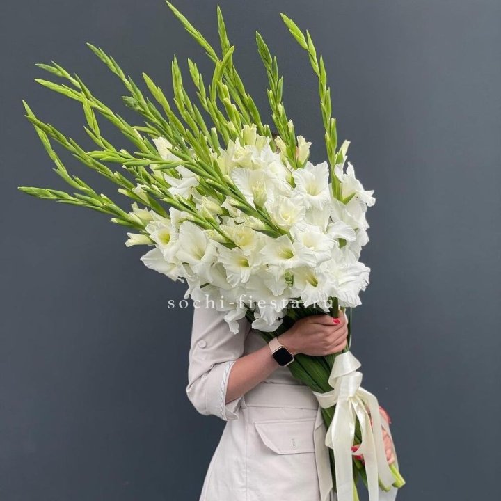 19 белых гладиолусов под ленту в Энгельсе