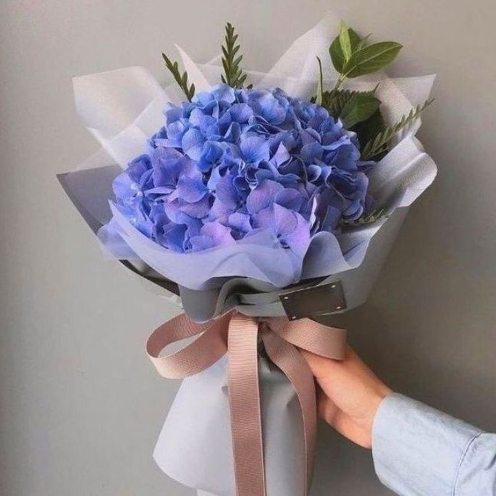 Гортензия голубая в Энгельсе