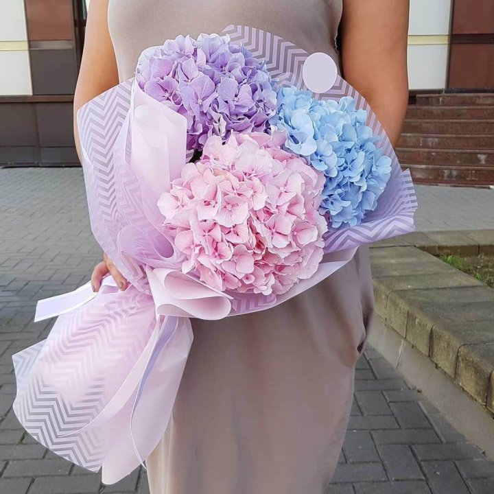 Букет гортензий "Пуф" в Энгельсе