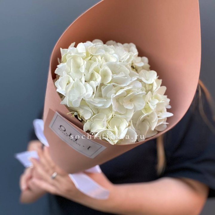 Гортензия в конверте в Энгельсе