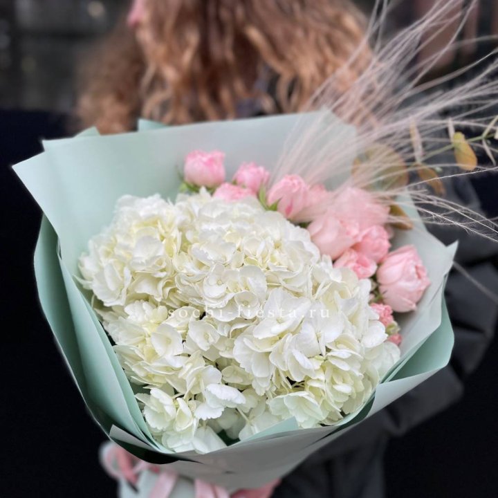 Гортензия "Жасмин" в Энгельсе