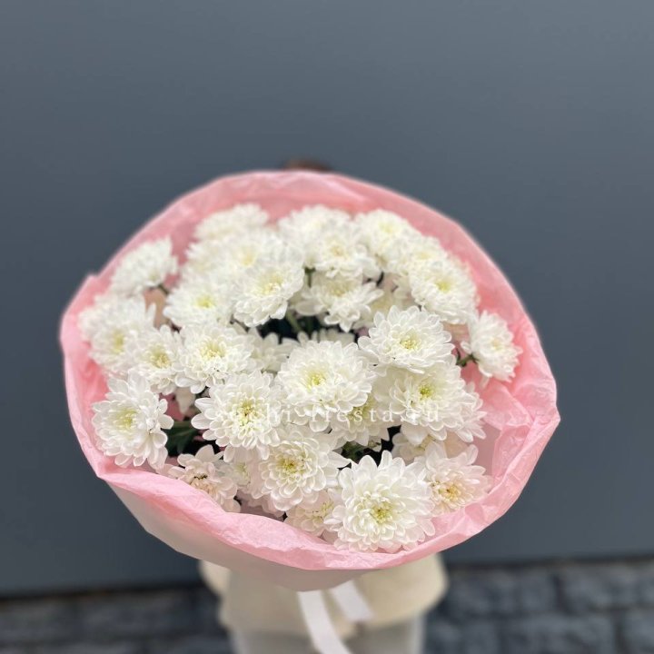  5 хризантем  в Энгельсе