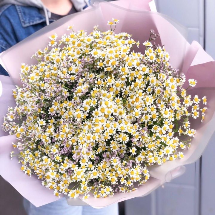 Букет ромашек №1 в Энгельсе