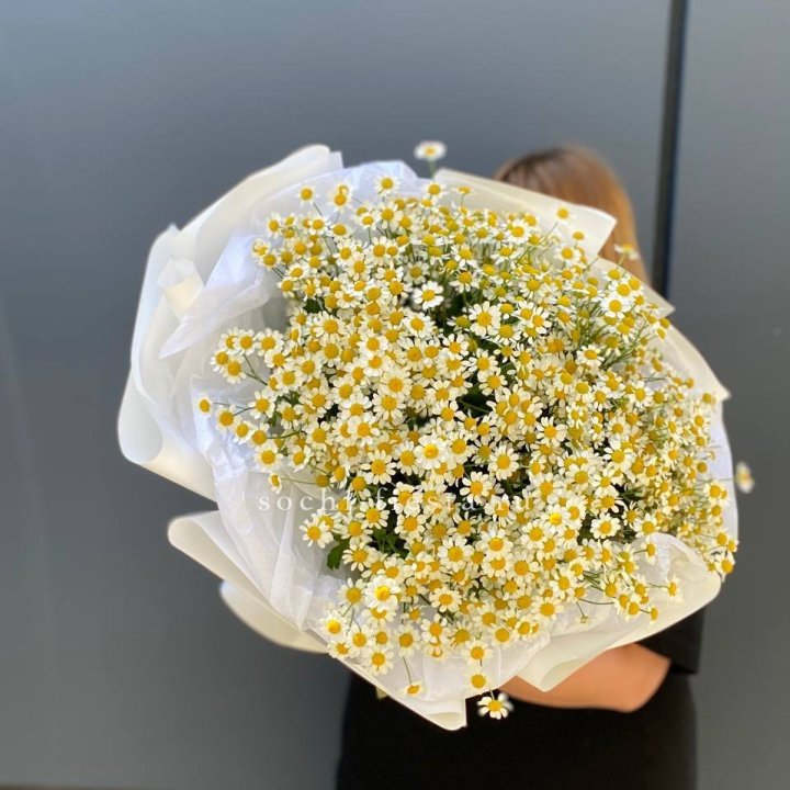 Букет ромашек "Фемели" в Энгельсе