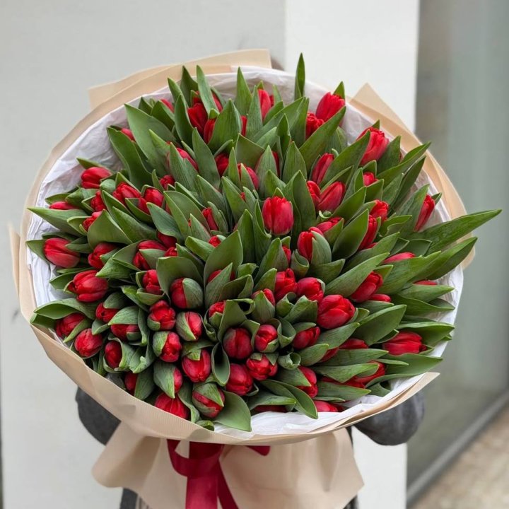 101 красный тюльпан в Энгельсе