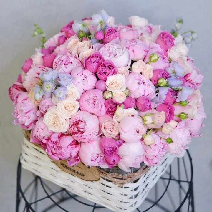 Композиция "Черри" в Энгельсе