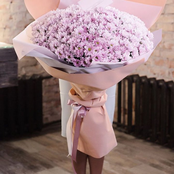 Облако хризантем №1 в Энгельсе