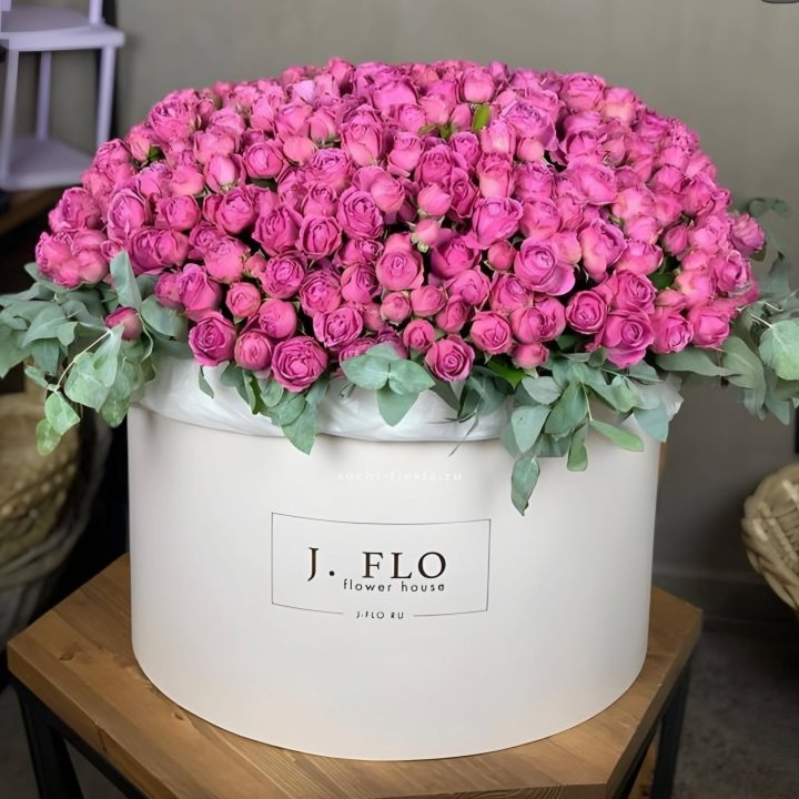 Цилиндр с Мисти Бабблс  в Энгельсе