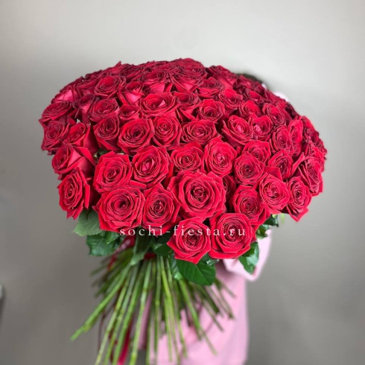 101  голландская роза  в Энгельсе