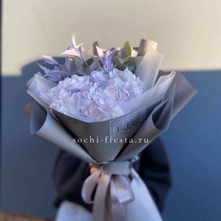 Гортензия "Виолета" в Энгельсе