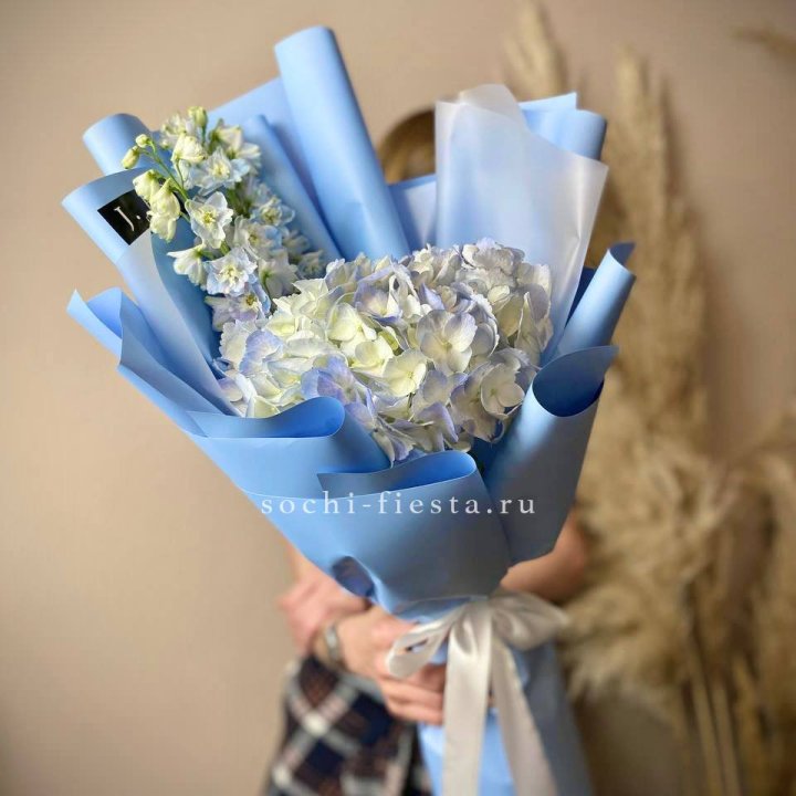 Гортензия "Блю скай" в Энгельсе