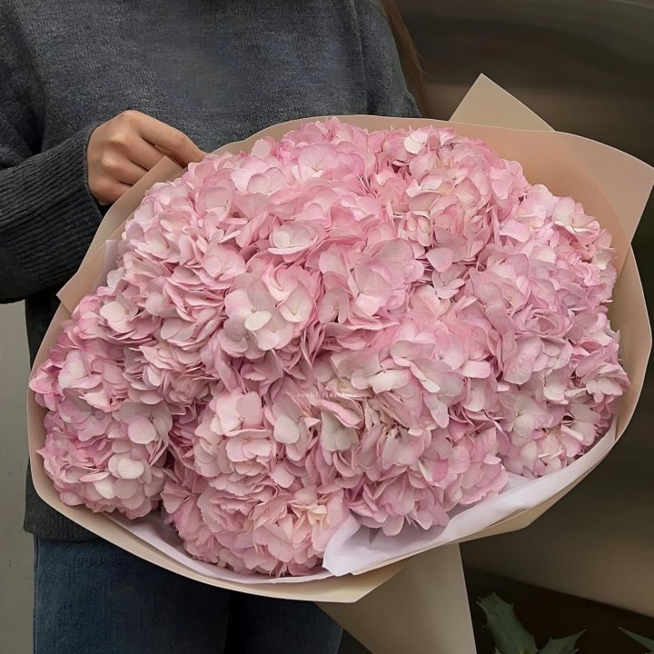 Гортензия  "РОЗЕ" в Энгельсе