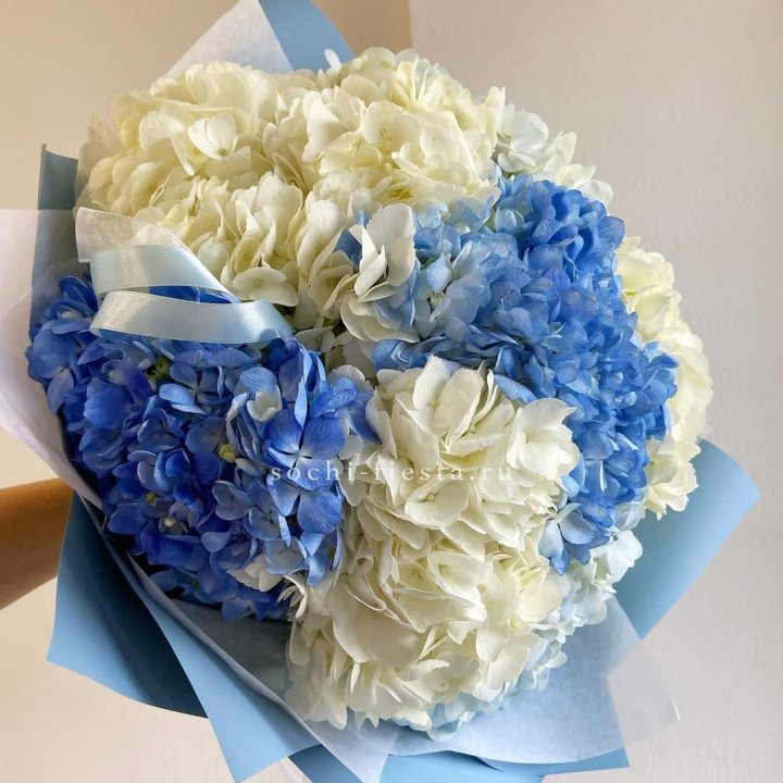 Букет гортензий "Голубая лаза" в Энгельсе