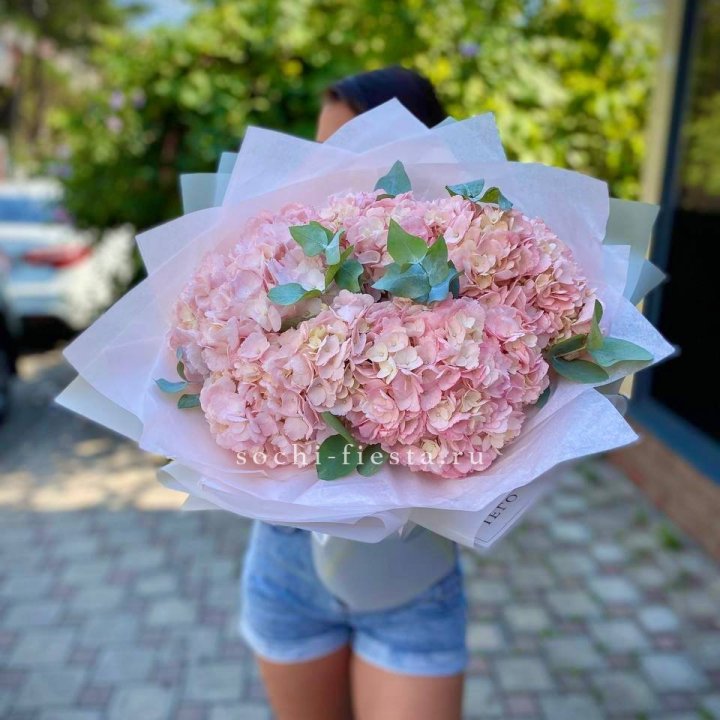 5 розовых гортензий  в Энгельсе