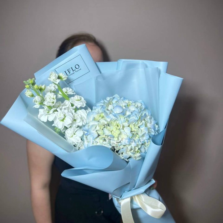 Гортензия голубая с маттиолой в Энгельсе