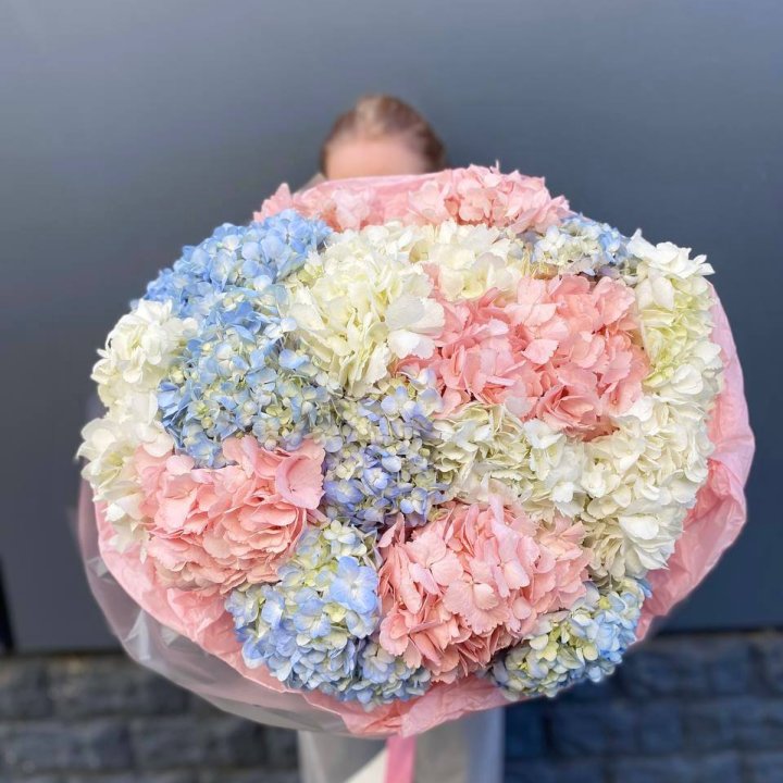 19 гортензий микс в Энгельсе