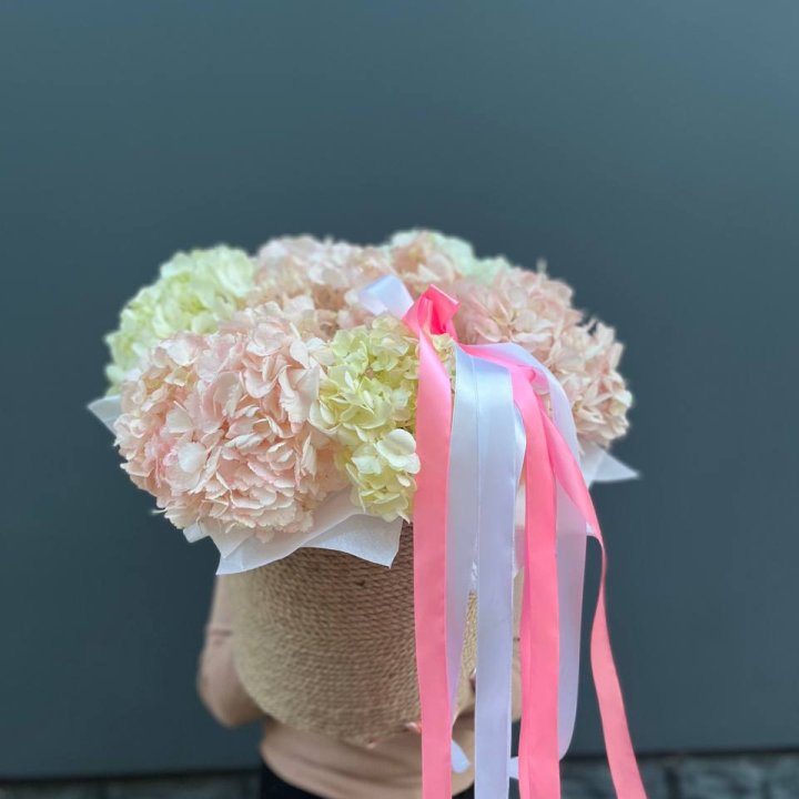 7 гортензий в кашпо в Энгельсе