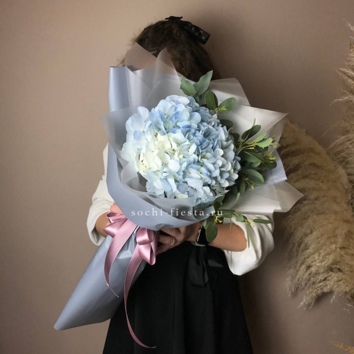 Гортензия Уно в Энгельсе