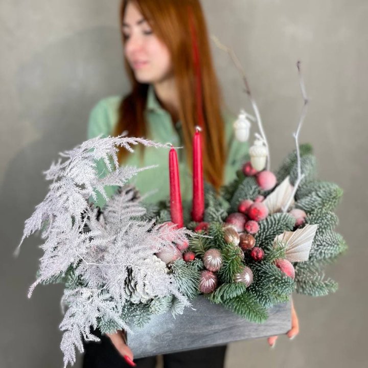 Бокс красный с нобилисом в Энгельсе