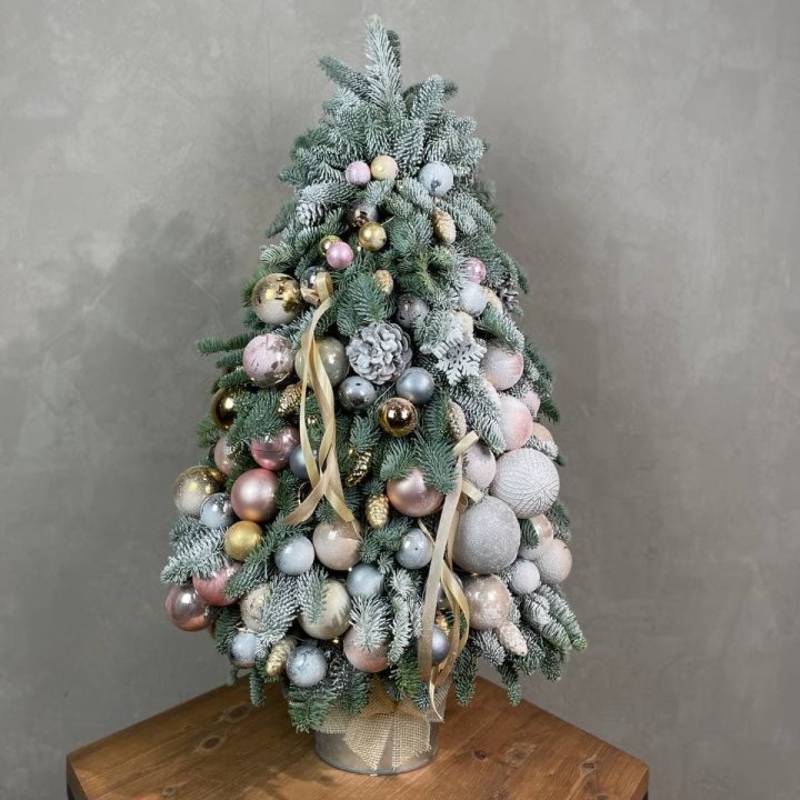 Новогодняя ёлка из веток датского нобилиса в Энгельсе