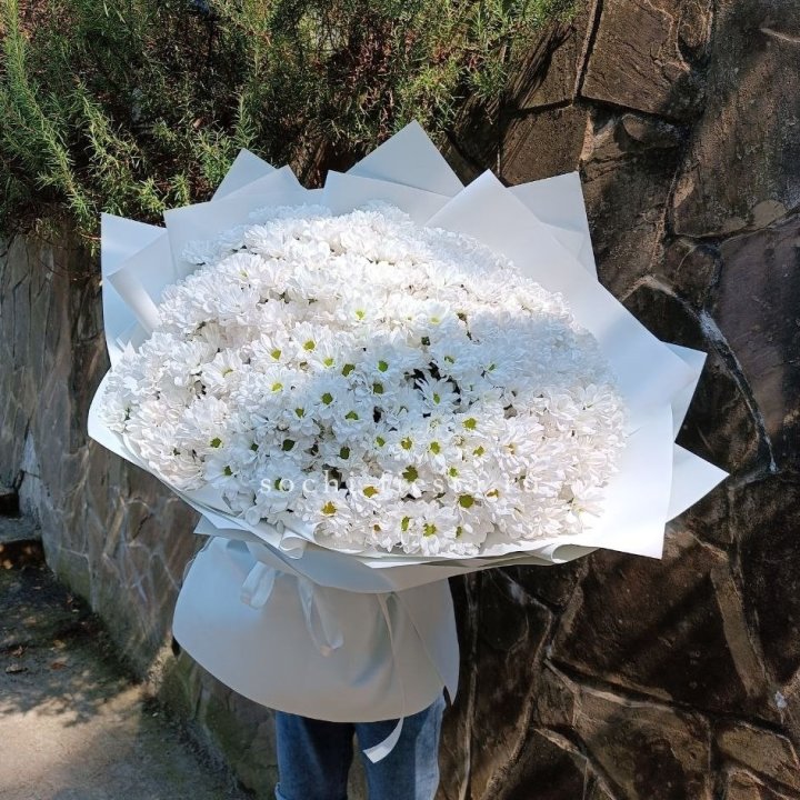 Облако хризантем №2 в Энгельсе