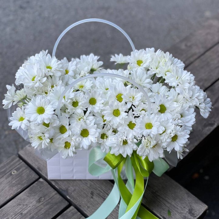 Сумка с хризантемами ромашками в Энгельсе