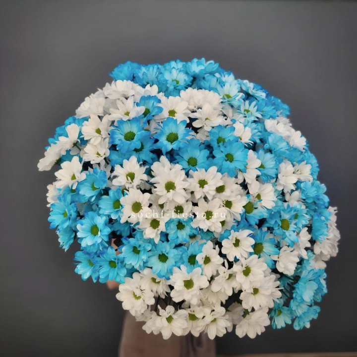  Букет хризантем микс в Энгельсе