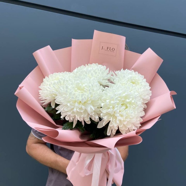 Профитроли №2 в Энгельсе