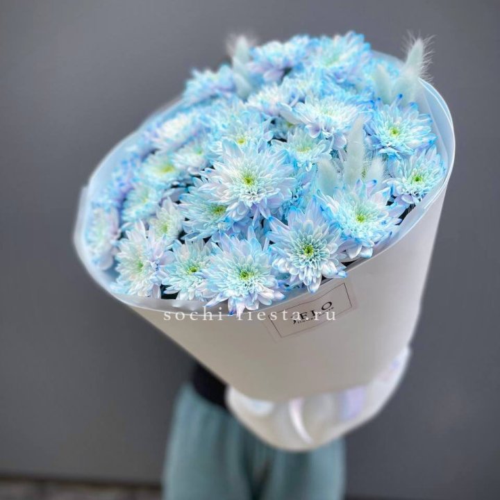  Букет нежно-голубых хризантем  в Энгельсе