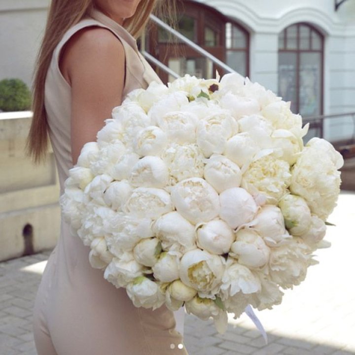 51 белый пион в Энгельсе