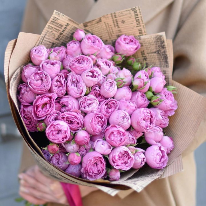 Роза Мисти Баблс в Энгельсе