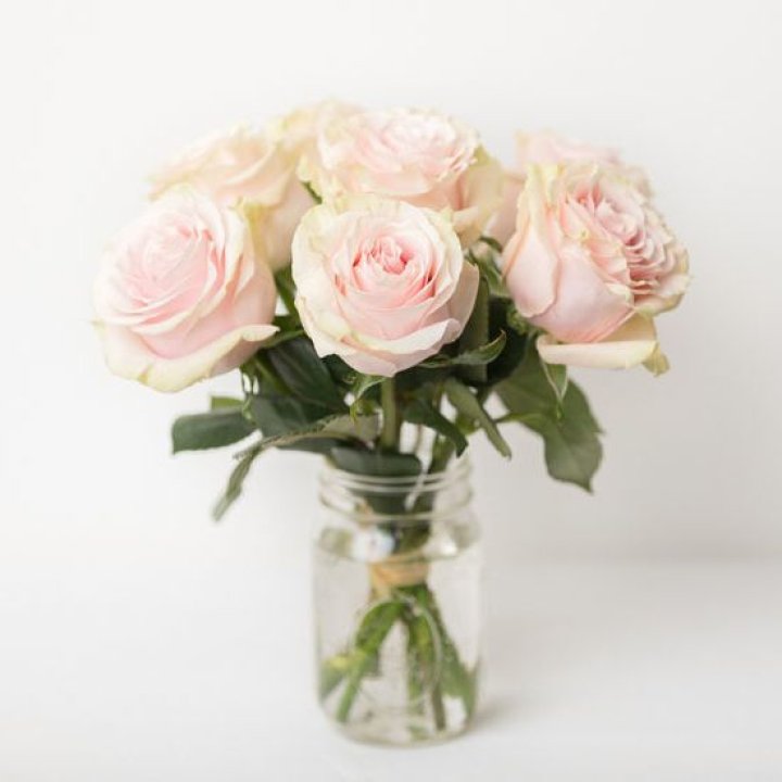 7 кремовых роз в Энгельсе