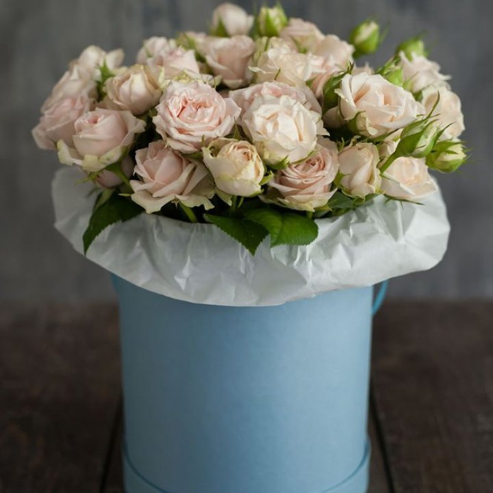 Бокс с бомбастиком в Энгельсе