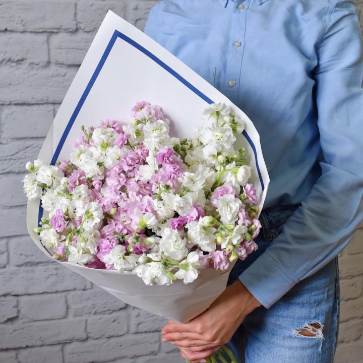 Маттиола в Энгельсе