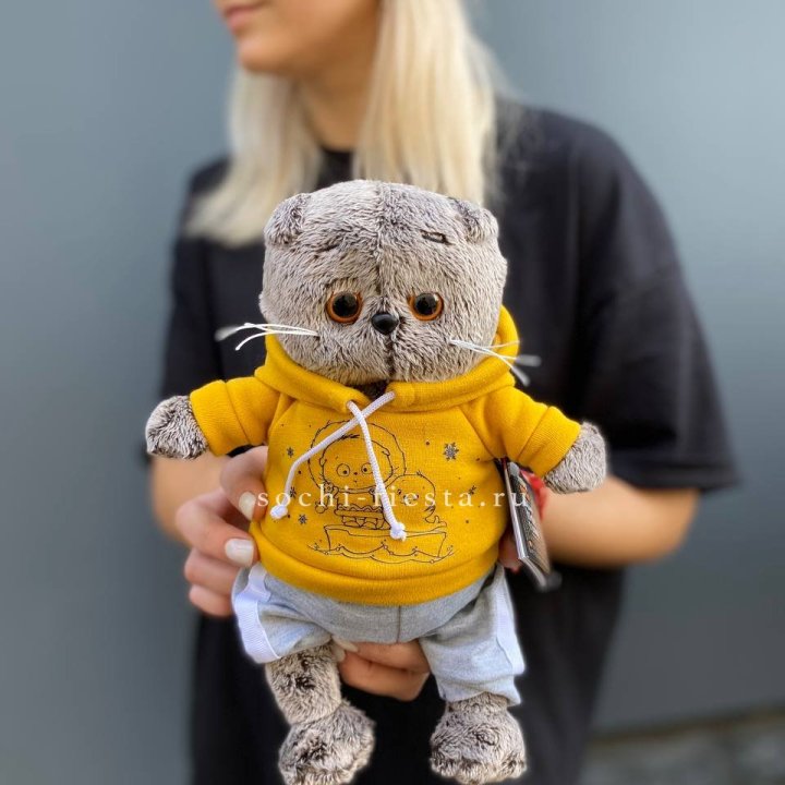 Кот Басик в худи в Энгельсе